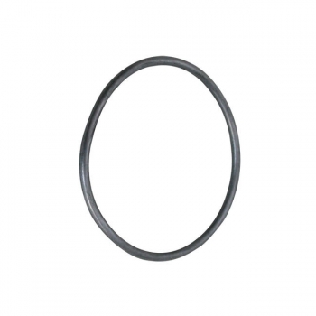 O-Ring Schwungrad